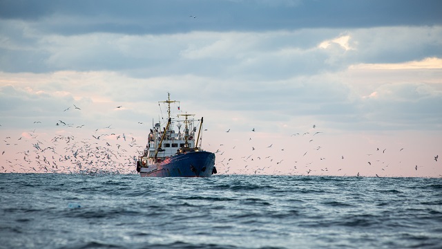 Return of the fishing seiner after the catch at sunset