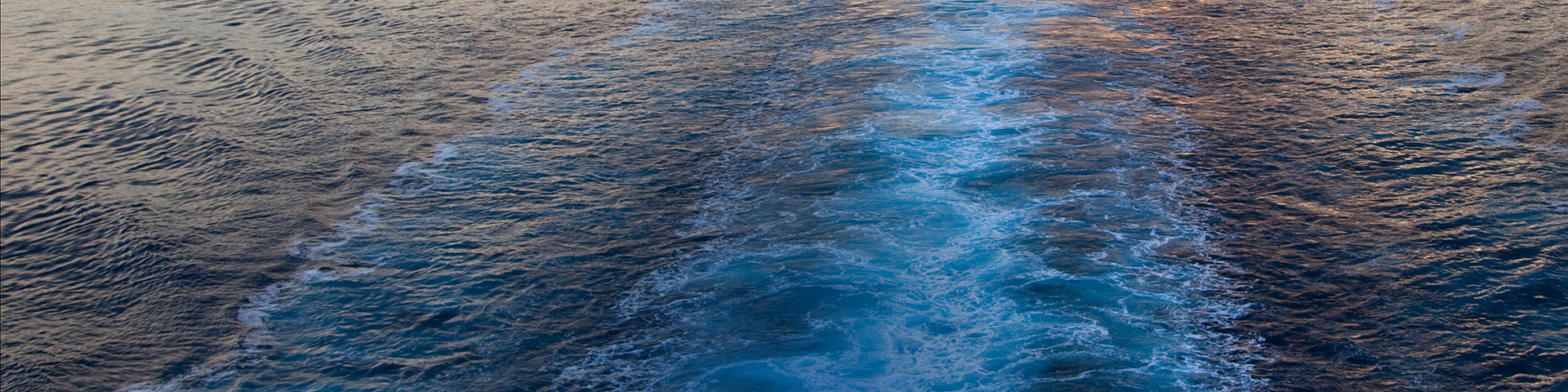 ballast water treatment 