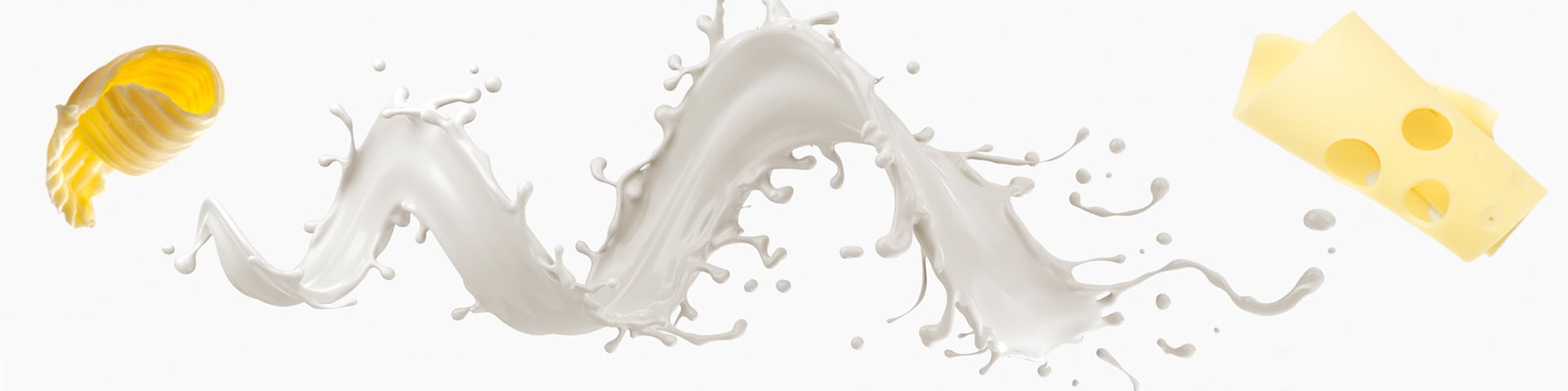 Dairy-hero-banner