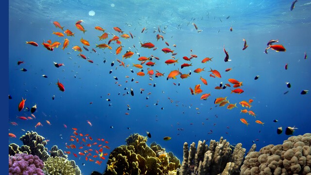 Water 1 640x360 unveiling.jpg